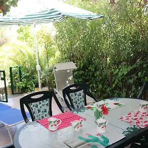 Casa vacanze Flamingos In The Desert 